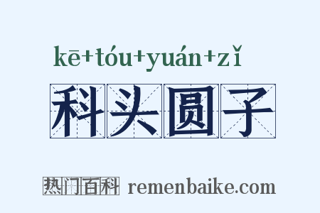 科头圆子是什么意思的图片